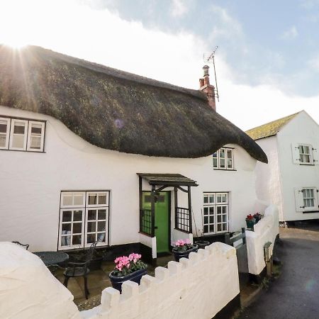 Teign Cottage Teignmouth Esterno foto